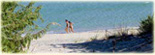 Offerte Puglia